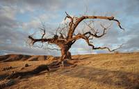 Кадр Страна приливов