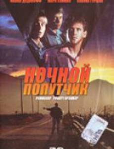Ночной попутчик