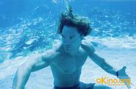 Кадр Золото дураков