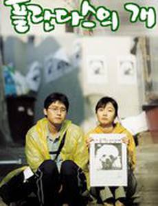 Лающие собаки никогда не кусают