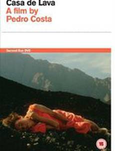 Без иллюзий