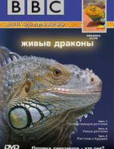 BBC: Живые драконы