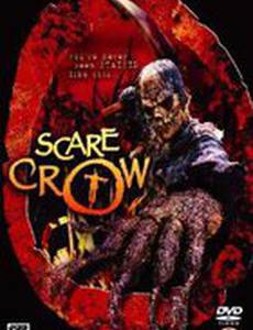 Пугало (видео)