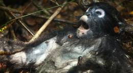 Кадр из фильма "Добыча" - 2