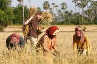 Кадр Тот же, но совсем другой