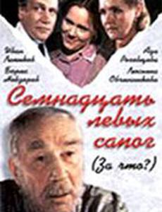 За что? (мини-сериал)