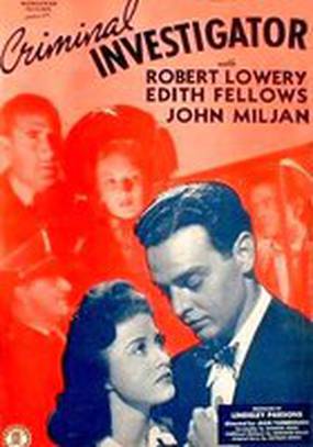 Criminal Investigator