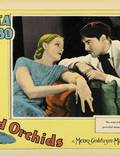 Постер из фильма "Дикая орхидея" - 1