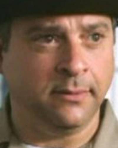 Марти Шифф фото