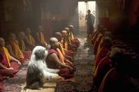 Кадр Лохматый папа