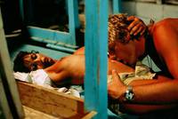 Кадр Греческая смоковница