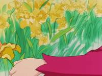 Кадр Красавица-воин Сейлор Мун Супер Эс