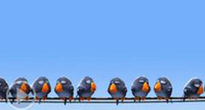 Мультфильм 