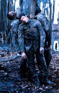 Кадр Южное гостеприимство