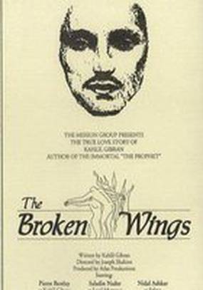 Сломанные крылья