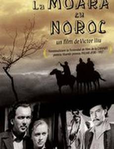 Счастливая мельница