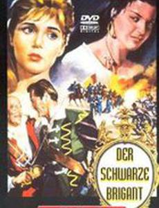 Il segreto dello sparviero nero