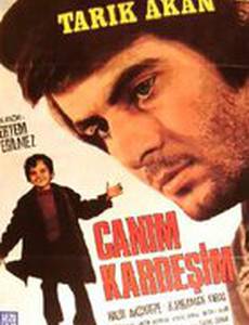 Дорогой брат