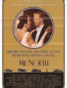 Мистер Норт