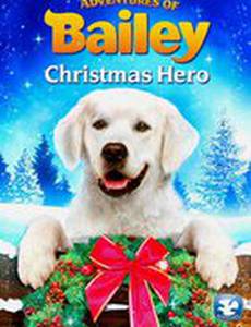 Adventures of Bailey: Christmas Hero