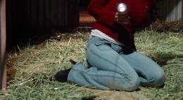 Кадр из фильма "Тыкворез" - 1