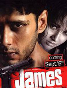 Адреналин в крови