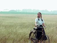 Кадр Павлин