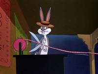 Кадр Кролик ныряющий с высоты