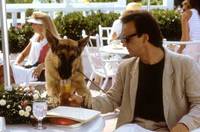 Кадр К-9: Собачья работа