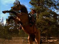 Кадр Упрямые сердца