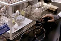 Кадр Звериная натура