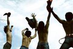 Цвет шафрана