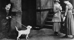 Кадр из фильма "Собачья жизнь" - 2