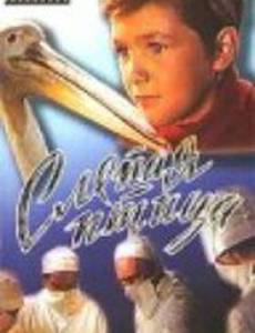 Слепая птица