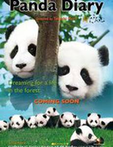 Дневник панды