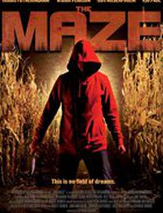 Лабиринт (видео)