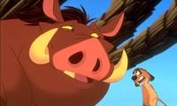 Кадр Тимон и Пумба