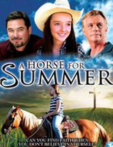 Лошадь на лето