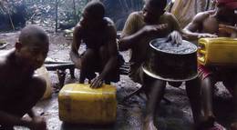 Кадр из фильма "Song from the Forest" - 1