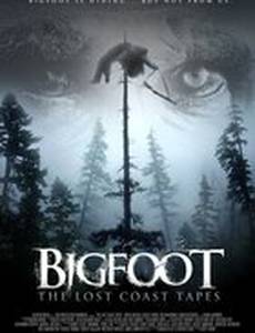 Пленки из Лост Коста