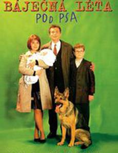 Лучшие годы – псу под хвост