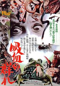 Постер Лягушки