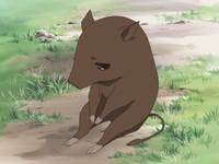 Кадр Корзинка фруктов