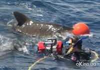 Кадр Открытое море