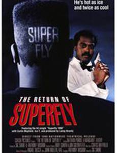 Возвращение Суперфлая