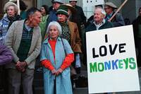 Кадр Луковые новости