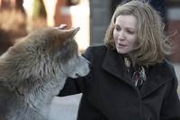 Кадр Хатико: Самый верный друг