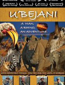 Отчаянное сафари