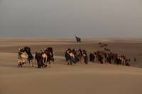 Кадр Черное золото