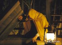 Кадр Таинственный лес